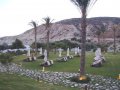 Cyprus Hotels: Columbia Beach Resort Pissouri - Hotel Gardens