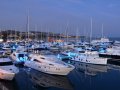 st raphael marina yachts by night